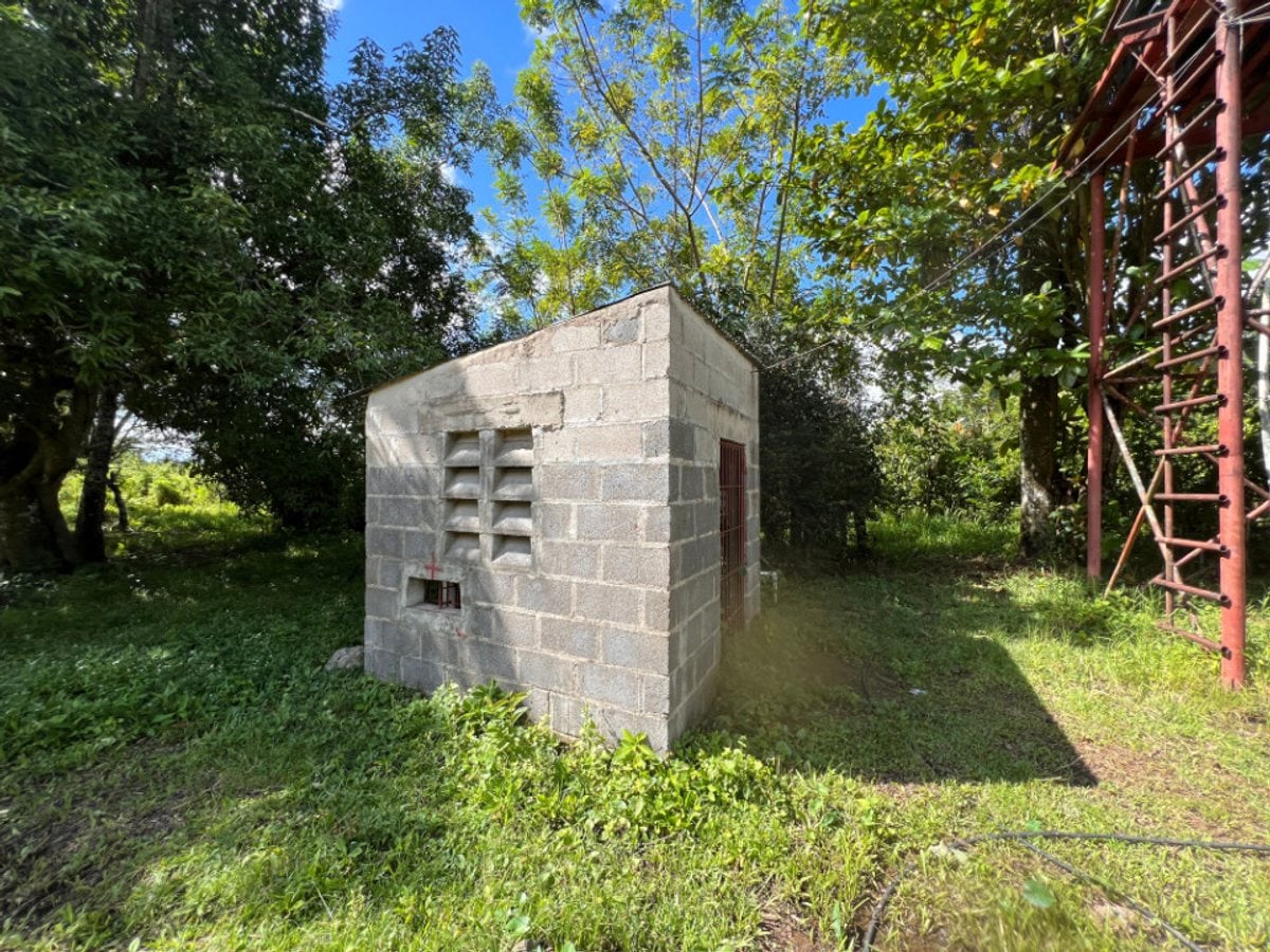 Finca En Dajao, Bayaguana – foto 7