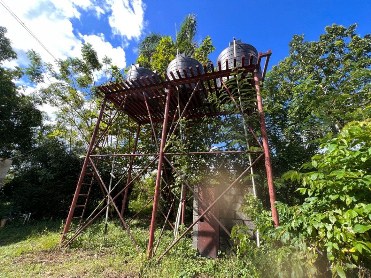 Finca En Dajao, Bayaguana – foto 11