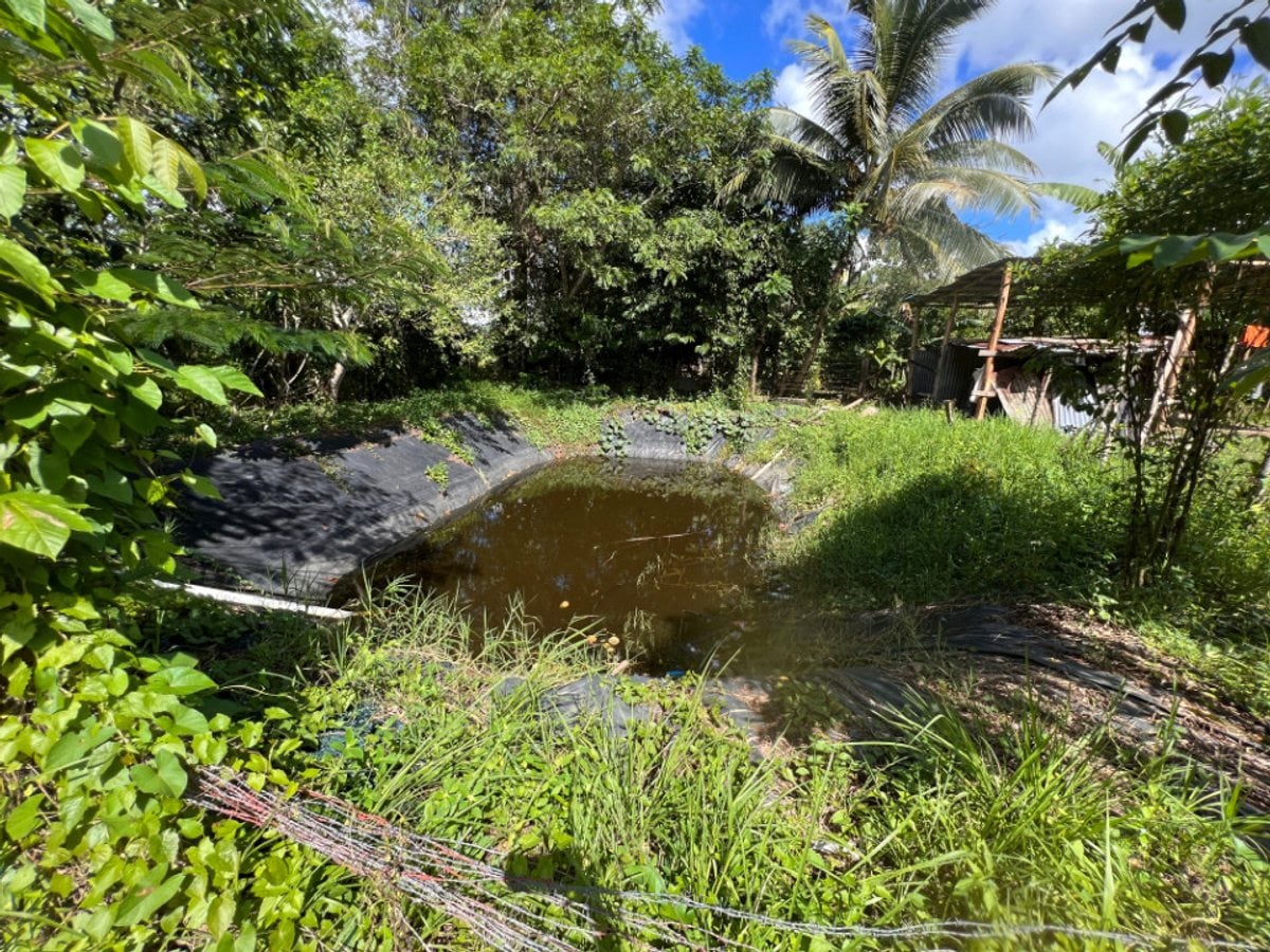 Finca En Dajao, Bayaguana – foto 8