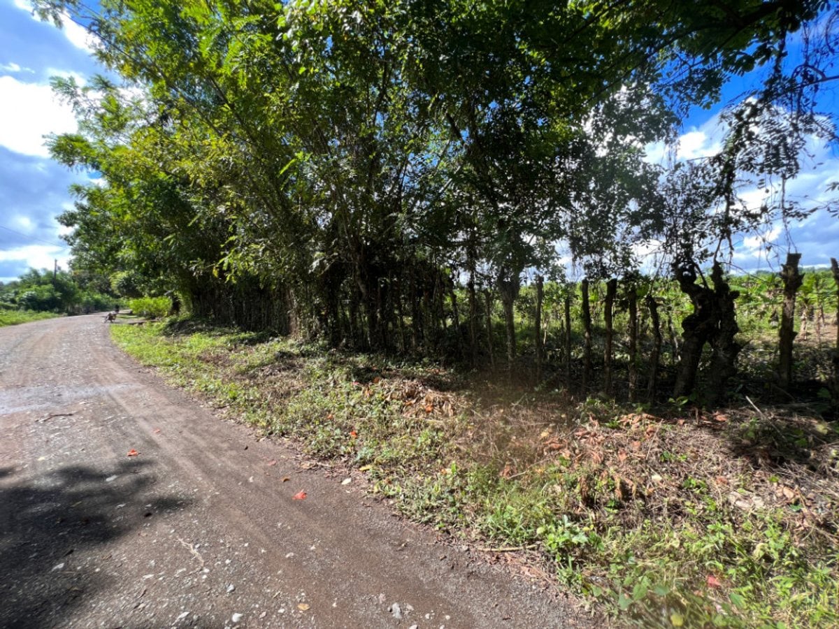 Finca En Dajao, Bayaguana – foto 9
