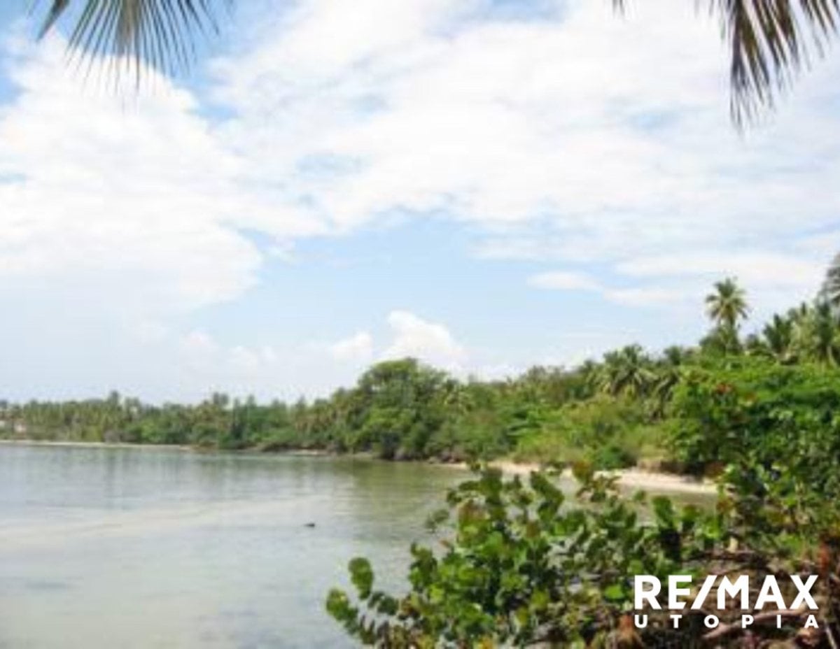 Terreno En Río Los Cocos, Samaná – foto 5