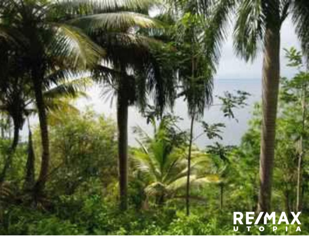 Terreno En Río Los Cocos, Samaná – foto 6