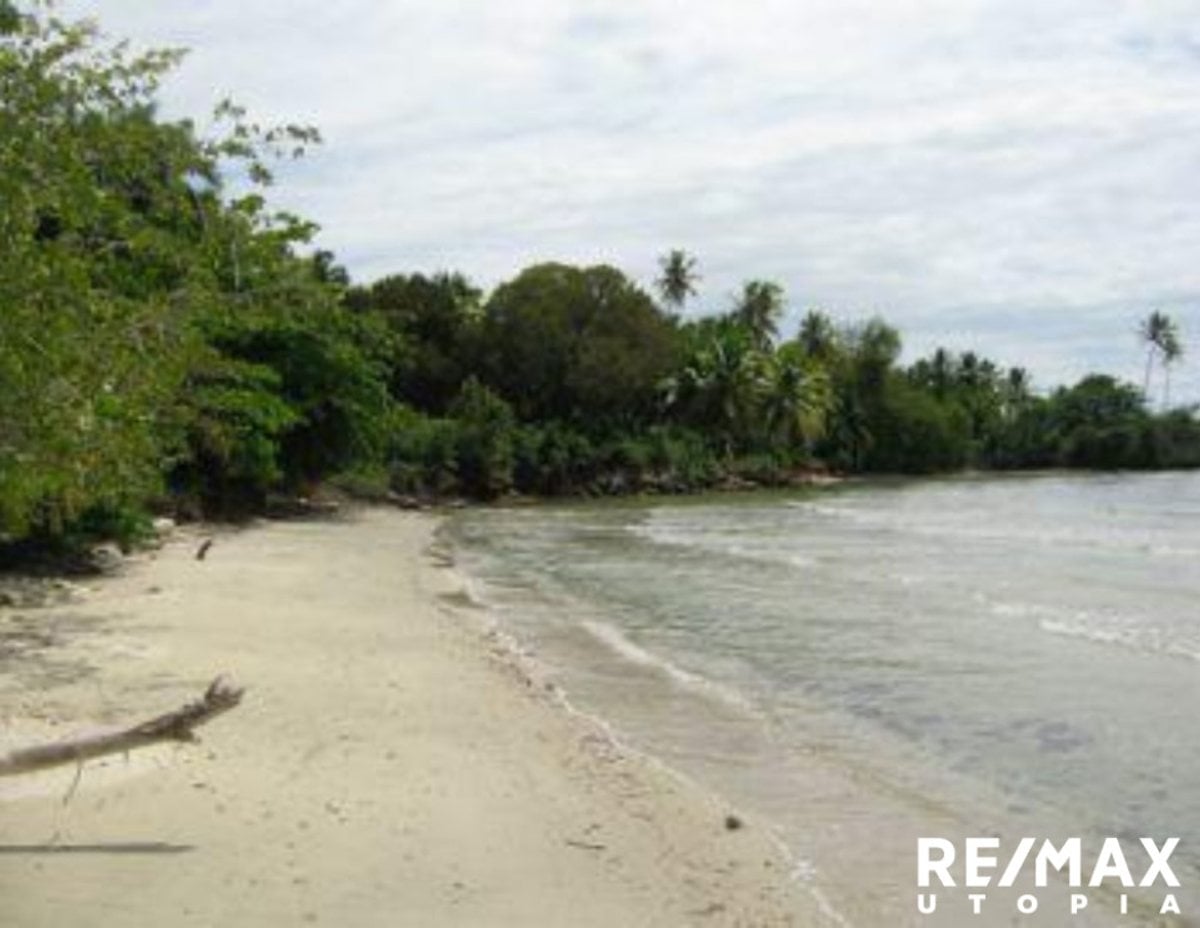 Terreno En Río Los Cocos, Samaná – foto 2