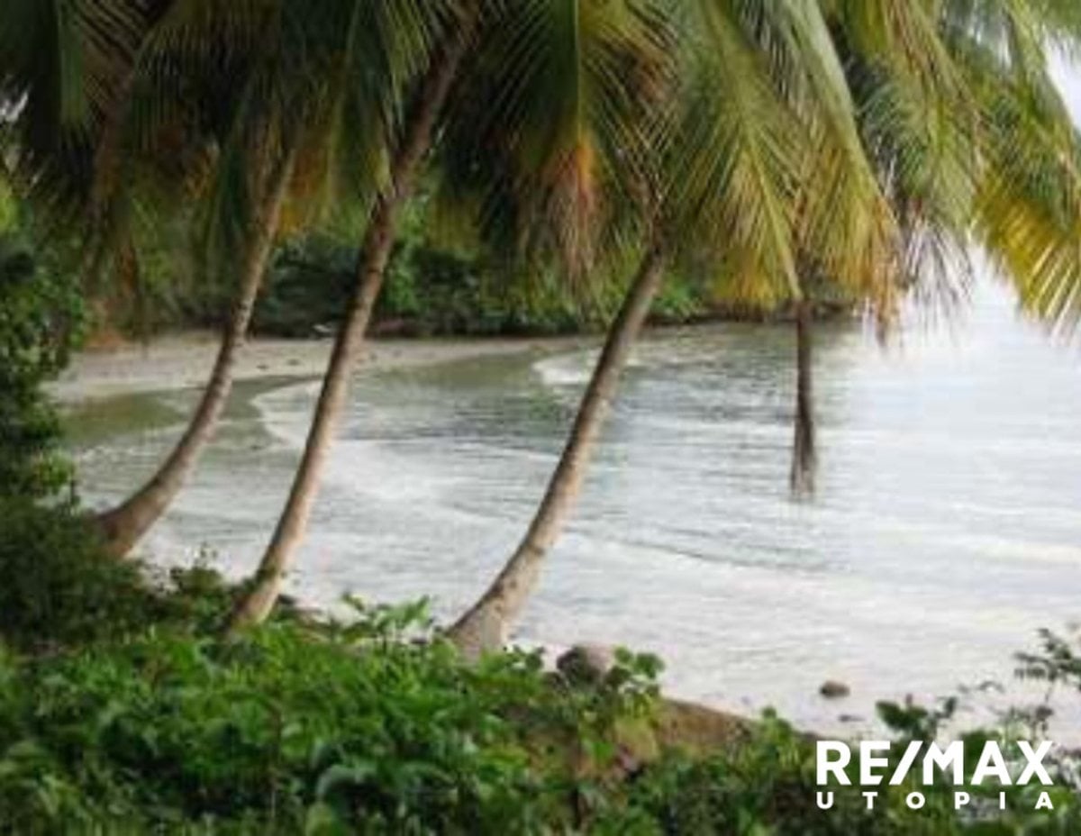 Terreno En Río Los Cocos, Samaná – foto 3