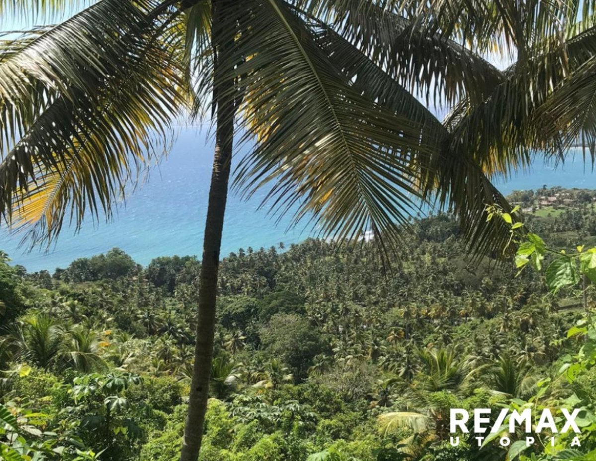 Terreno En Río Los Cocos, Samaná – foto 1