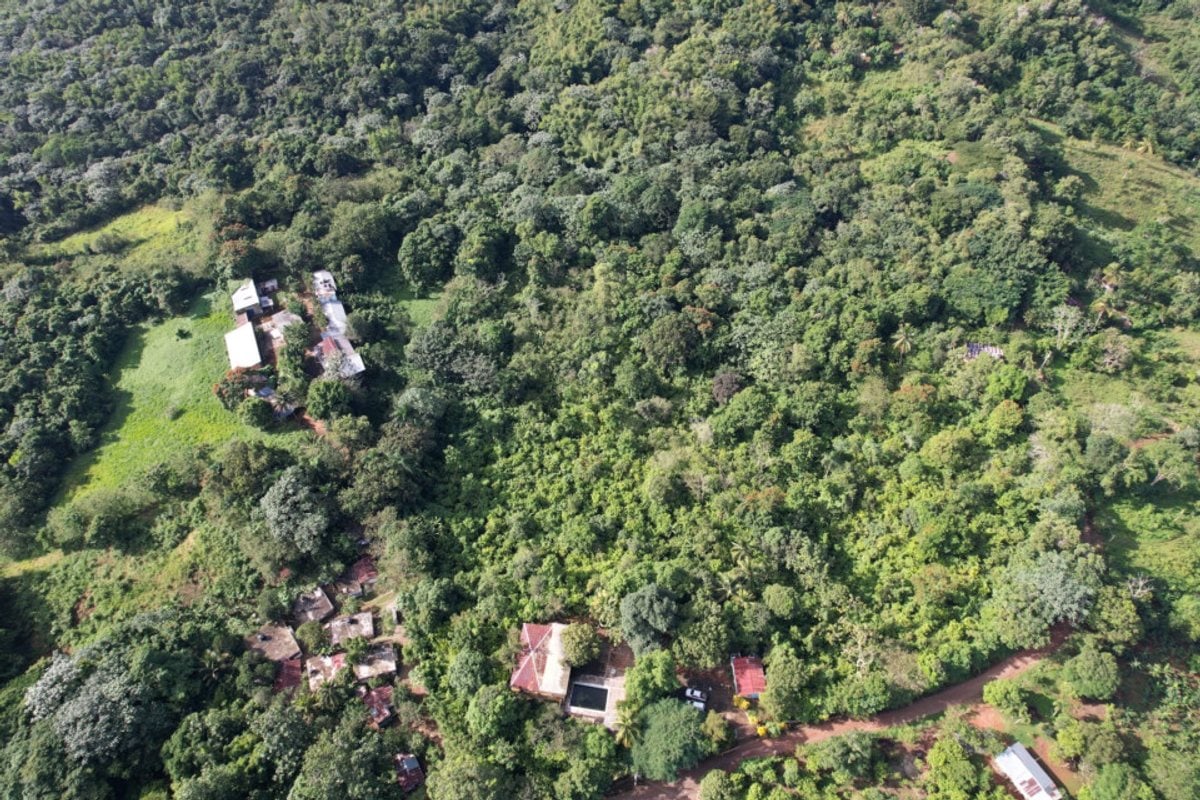 Finca en Villa Altagracia, El Caobal – foto 2