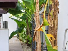 Casa en venta en Brisa Oriental VI, 4 – foto 12