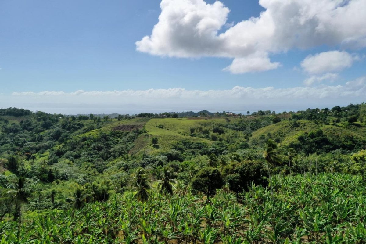 Terreno en Samaná, Juana Vicenta – foto 1