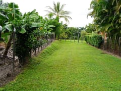 Villa en venta en Jarabacoa, 5 habitaciones, 4,085 m² – foto 6