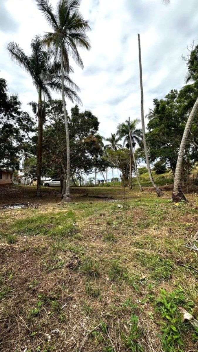 Terreno en Samaná, Los Cacaos – foto 8