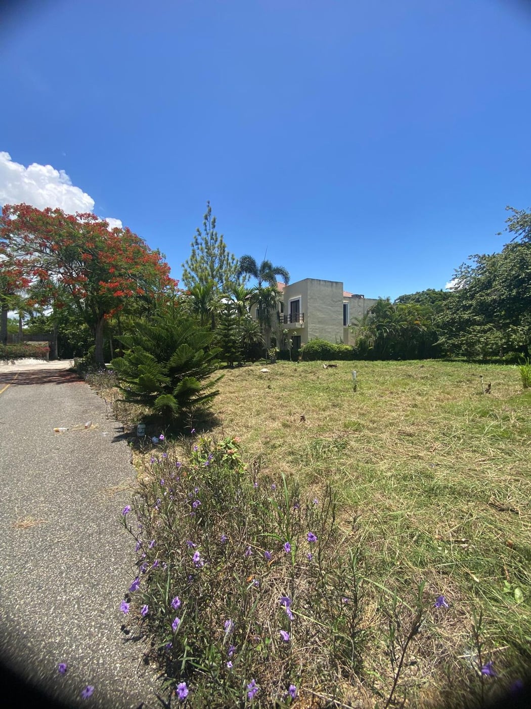 Terreno en venta en Guavaberry | 592.66 m² – foto 1