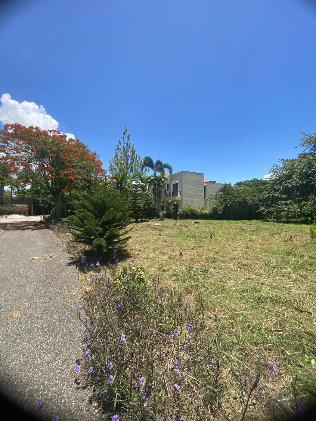 Terreno en venta en Guavaberry | 592.66 m² – foto 4