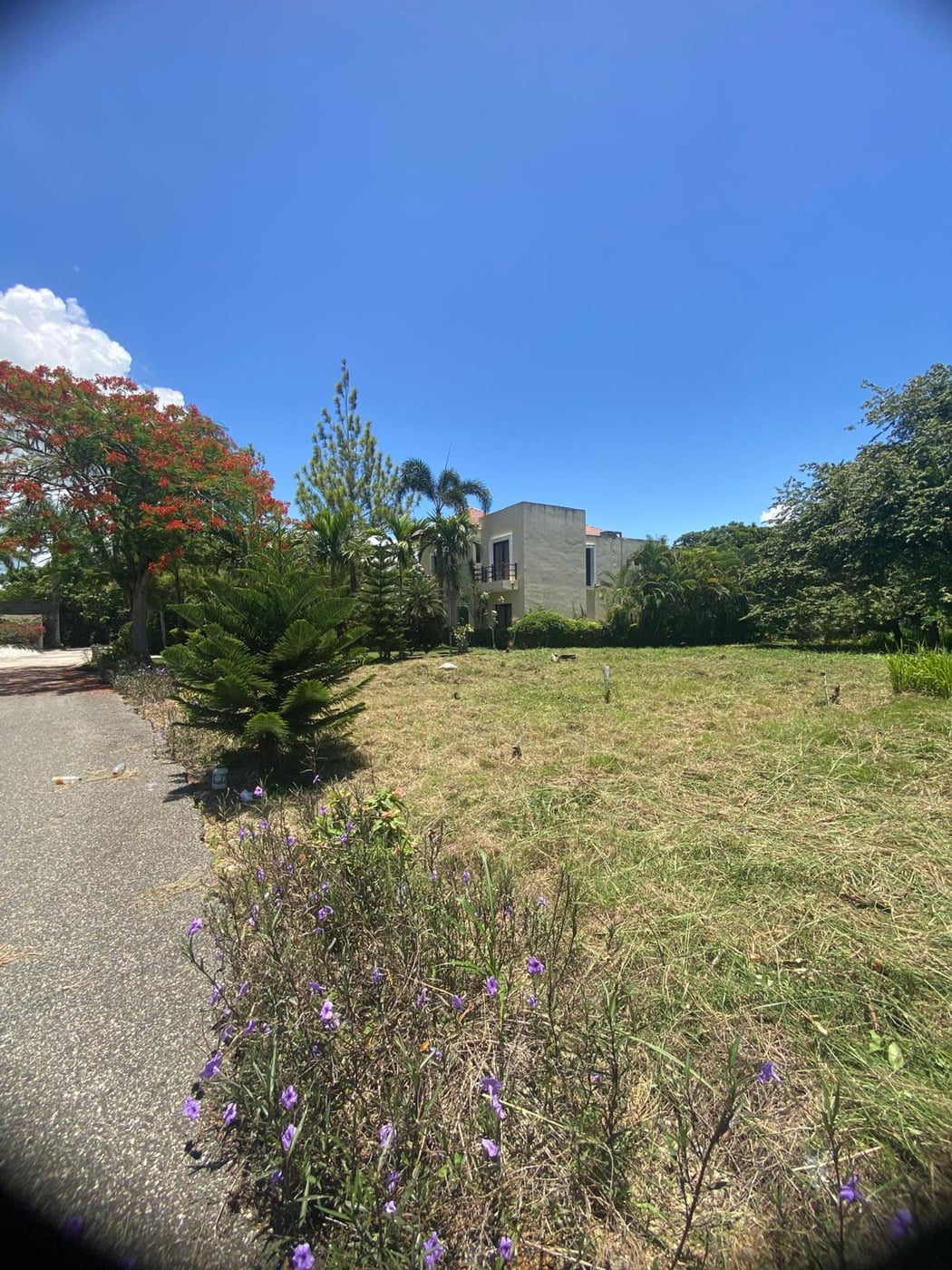 Terreno en venta en Guavaberry | 592.66 m² – foto 2