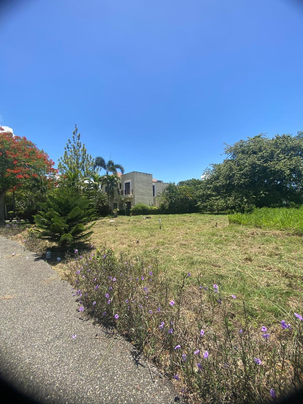 Terreno en venta en Guavaberry | 592.66 m² – foto 3