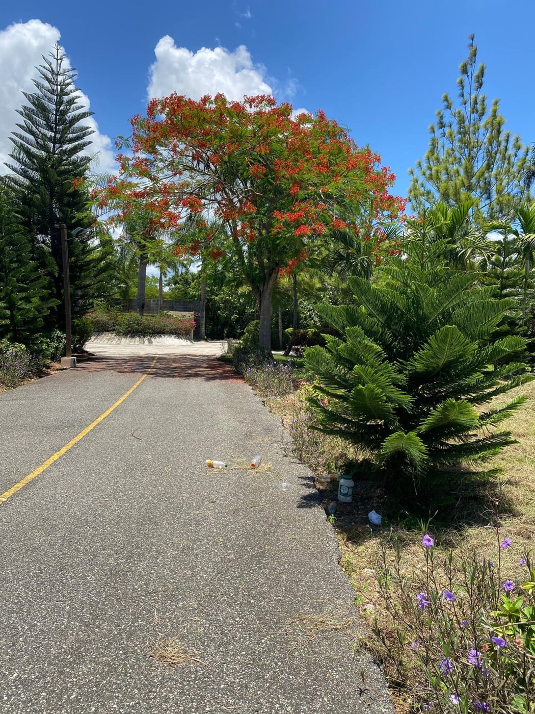 Terreno en venta en Guavaberry | 592.66 m² – foto 5
