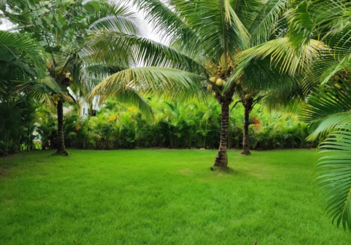 VILLA EN PLAYA NUEVA ROMANA, SAN PEDRO DE MACORÍS – foto 4