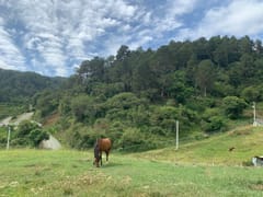 Terreno en venta en Constanza, La Colonia Húngara – foto 4