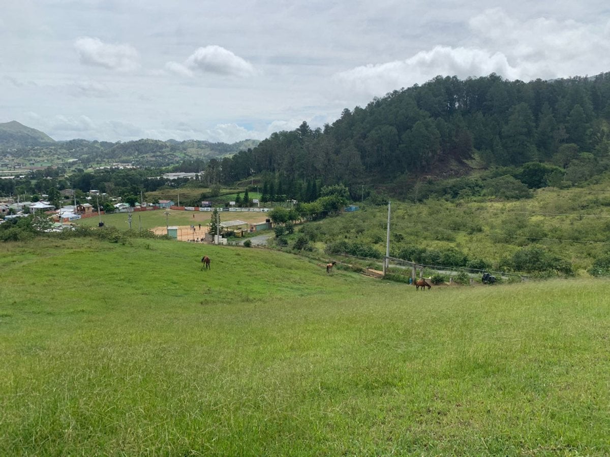 Terreno en venta en Constanza, La Colonia Húngara – foto 1